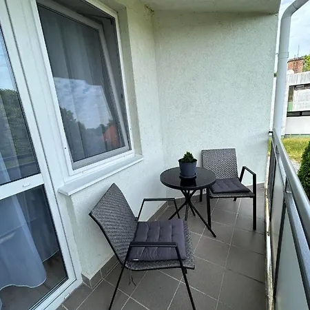 D&d Wellness Apatmanok - Dani Wellness