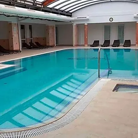 D&d Wellness Apatmanok - Dani Wellness