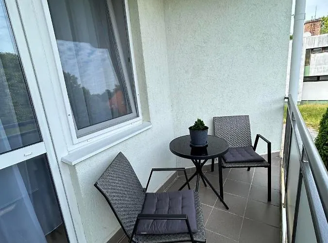 D&d Wellness Apatmanok - Dani Wellness